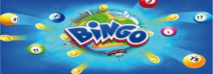 Bingo-300x105.jpg